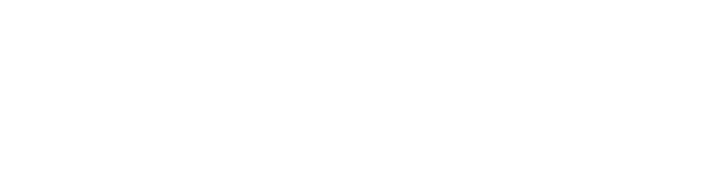 desfiemer.com